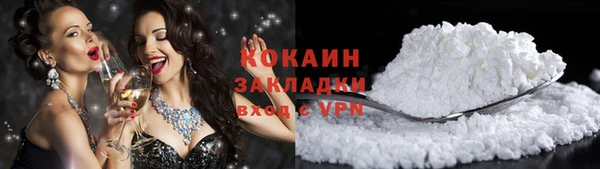прущие грибы Краснослободск