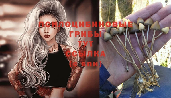 соль ск Балабаново