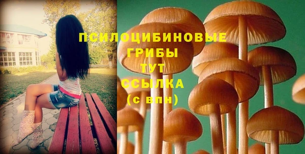 мяу мяу мука Баксан