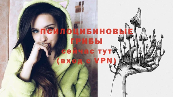 соль ск Балабаново