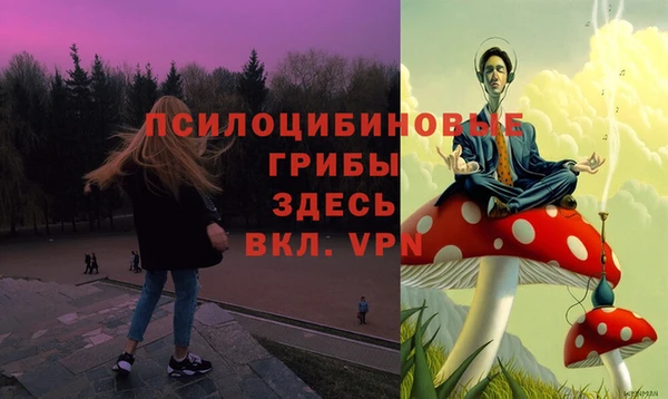 крисы Балахна