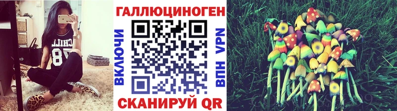 Галлюциногенные грибы прущие грибы  купить наркоту  Ногинск 